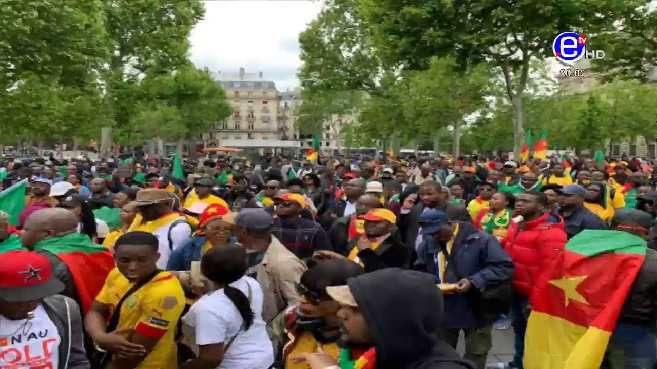 marche-des-camerounais-de-la-diaspora-a-paris-le-18-mai-2019